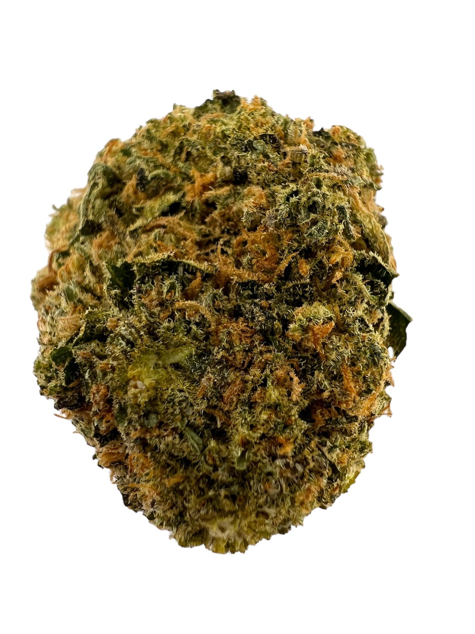 girl scout cookies 3