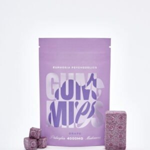 Euphoria Psychedelics – Grape 4000MG