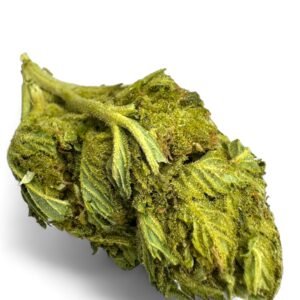 King Kush