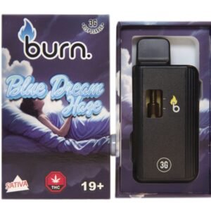 3 Gram Burn Disposable Vapes – Blue Dream Haze Sativa