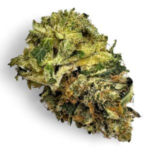 Grandaddy Blueberry
